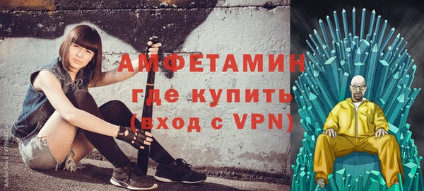 индика Инсар