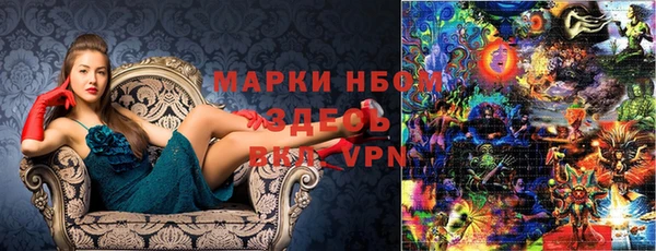 индика Инсар