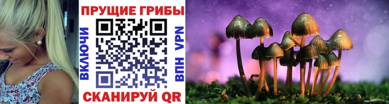 Псилоцибиновые грибы ЛСД Холм